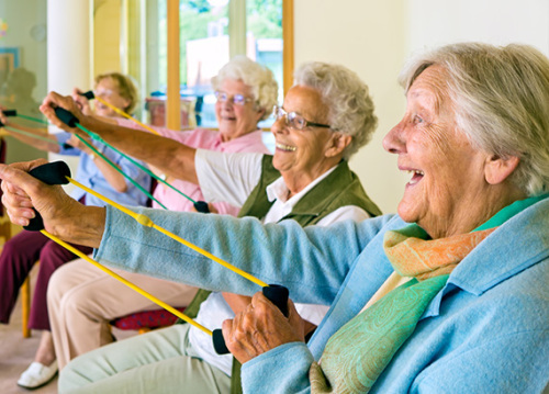 Exercises for Elderly Ladies: Part One